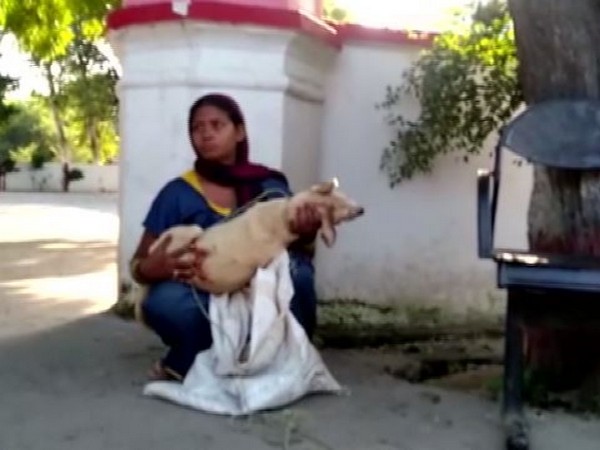 Sunita with the body of her dog in Aligarh, Uttar Pradesh on Friday. Photo/ANI Sunita with the body of her dog in Aligarh, Uttar Pradesh on Friday. Photo/ANI