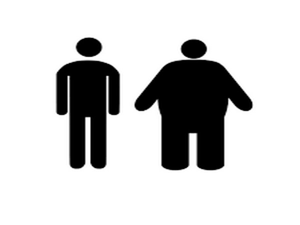 New cellular player involved in obesity discover New cellular player involved in obesity discover