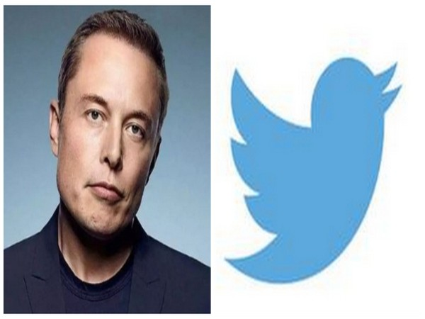 Elon Musk vs Twitter (Image source: Instagram)