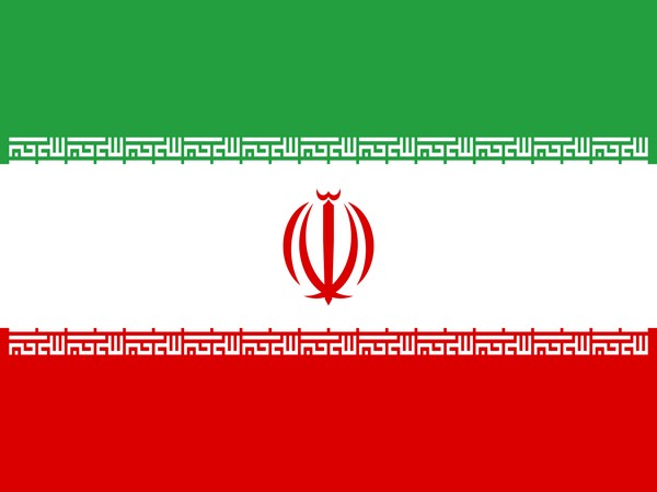 Iranian flags