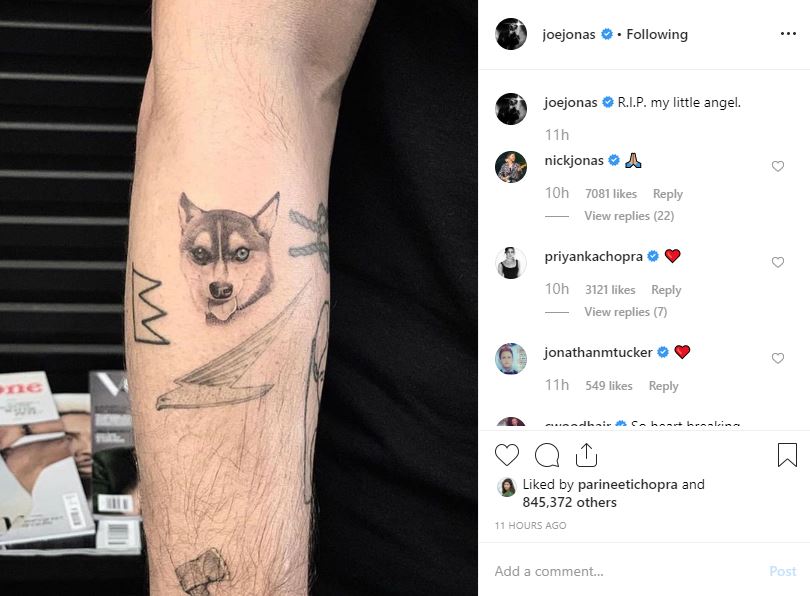 Dog lovers get tattooed tributes of their best friends  The Star