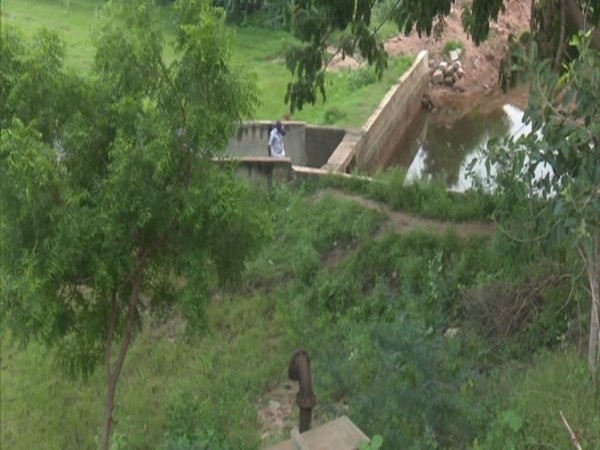 Water crisis in Madurai affects crop cycles - ANI News