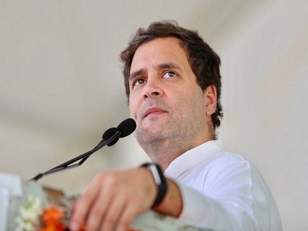 Congress leader Rahul Gandhi (File Photo) Congress leader Rahul Gandhi (File Photo)