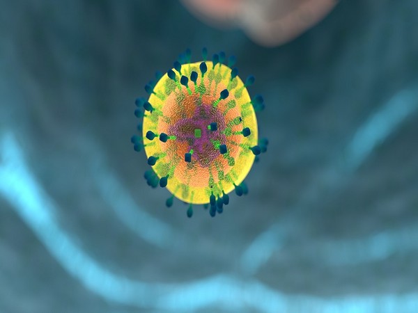 Genetic discovery holds implications for better immunity, longer life: Study
