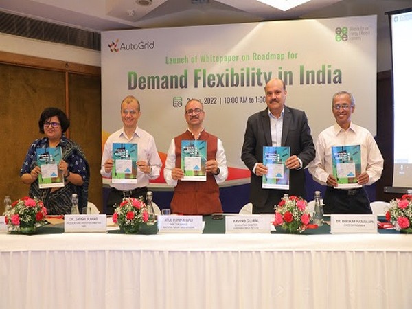 Senior Officials at the report launch on Roadmap for Demand Flexibility in India by Alliance for an Energy Efficient Economy (AEEE)