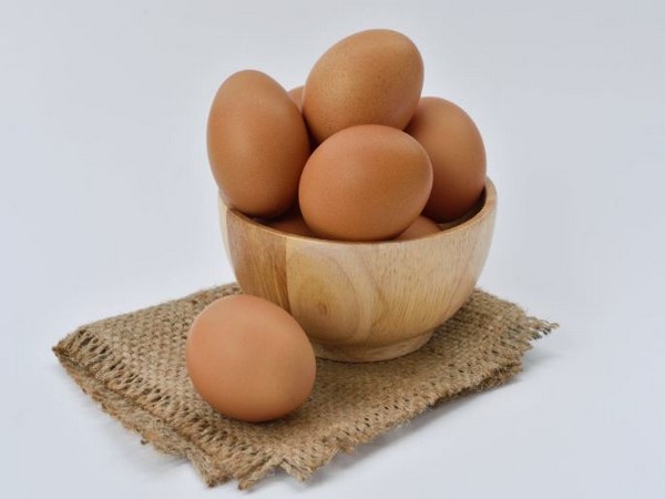 Study: Heart-healthy metabolites in blood can be increased by eating eggs in moderation Study: Heart-healthy metabolites in blood can be increased by eating eggs in moderation