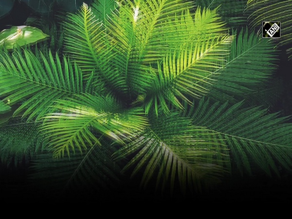 Scientists discover a new gene to protect plants from common diseases