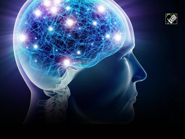 New study identifies network cores of the brain with strong bidirectional connections