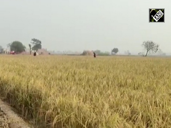 Another Pakistani drone tries to enter the territory, goes back after jawans firing