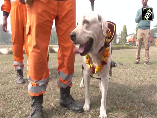 Operation Dost: 47-member NDRF team, dog squad return from Turkey