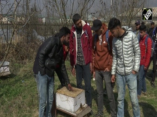 J&K: Beekeeping workshop organised in Srinagar to boost employment among tribal youth