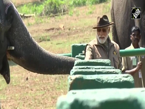 Karnataka: PM Modi visits Elephant camp in Mudumalai Tiger Reserve