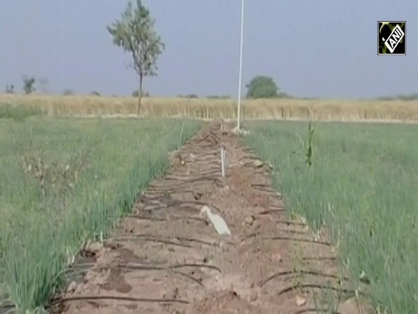 Rajasthan CM approves financial proposal for Diggi Yojana to strengthen micro irrigation system