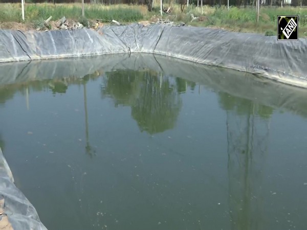 Micro irrigation system will be strengthened, Chief Minister Ashok Gehlot approved  Diggi Yojana