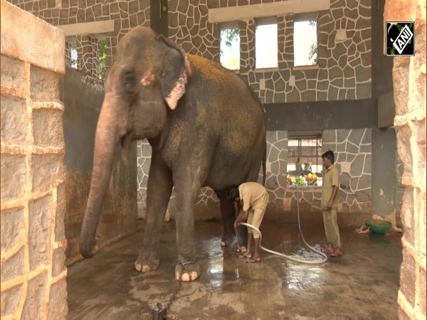 तपती गर्मी से जानवरों को मिली रहत, Byculla Zoo में जानवरों के लिए किये गए ख़ास इंतजाम