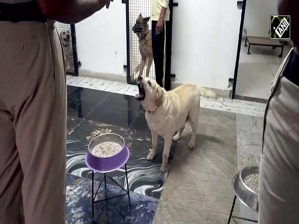 Punjab Police में तैनात एक Dog ने जीती जिंदगी की जंग, देश की सेवा में फिर से तैनात