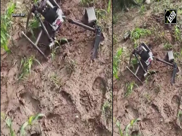 Pakistan sends another drone into India; shot down by BSF in Amritsar