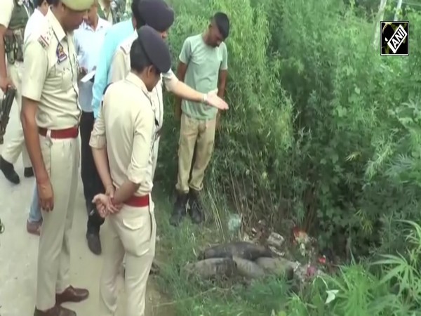 Jammu on alert after security forces recover covers of rusted mortar shells in J&K’s Samba