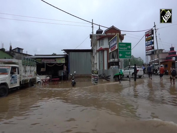 Shimla: Trees uprooted, roads blocked, cars buried as rains trigger landslide