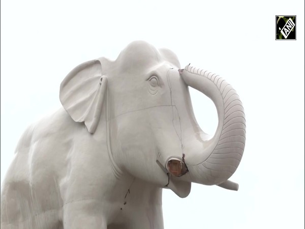 Lucknow में तेज वर्षा के साथ बिजली की गरज, 60 Lakh के हाथी पर गिरी आकाशीय बिजली