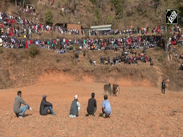 People in Nepal’s Taruka village celebrates annual Bull Fighting with enthusiasm and tradition